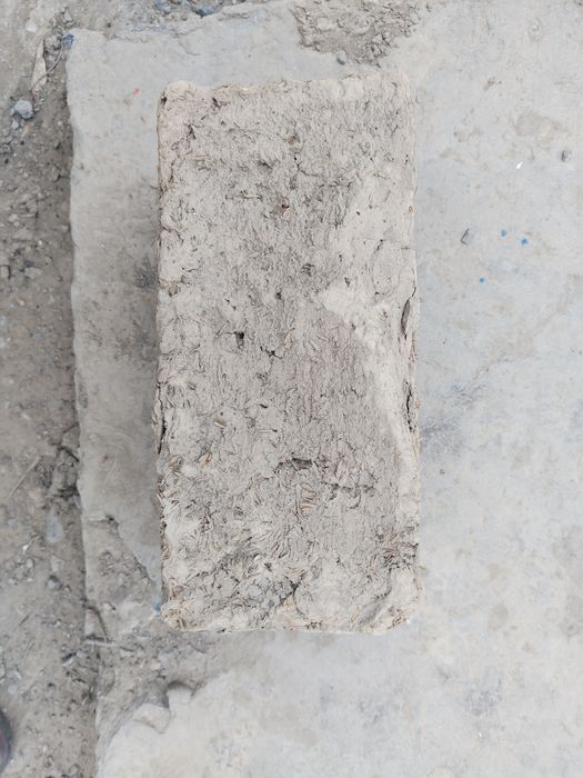 Кірпіш тасбогетте тұр