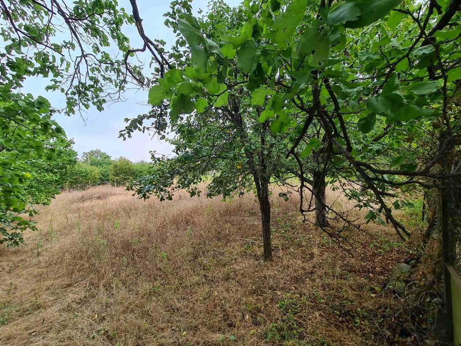 Продава се Къща в с. Червен, Област Пловдив - 50 кв.м за 980 €/кв.м - Снимка #3