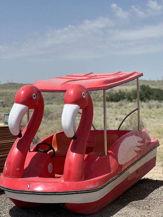 Катамаран новый