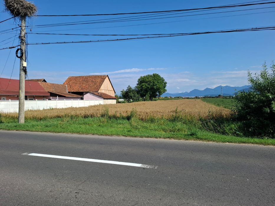 Vând teren în zona Stupini