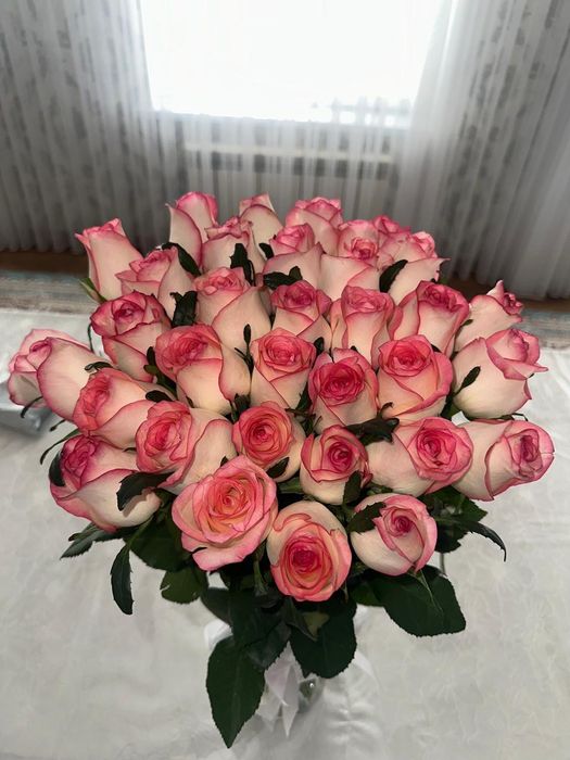 Продам свежи роза