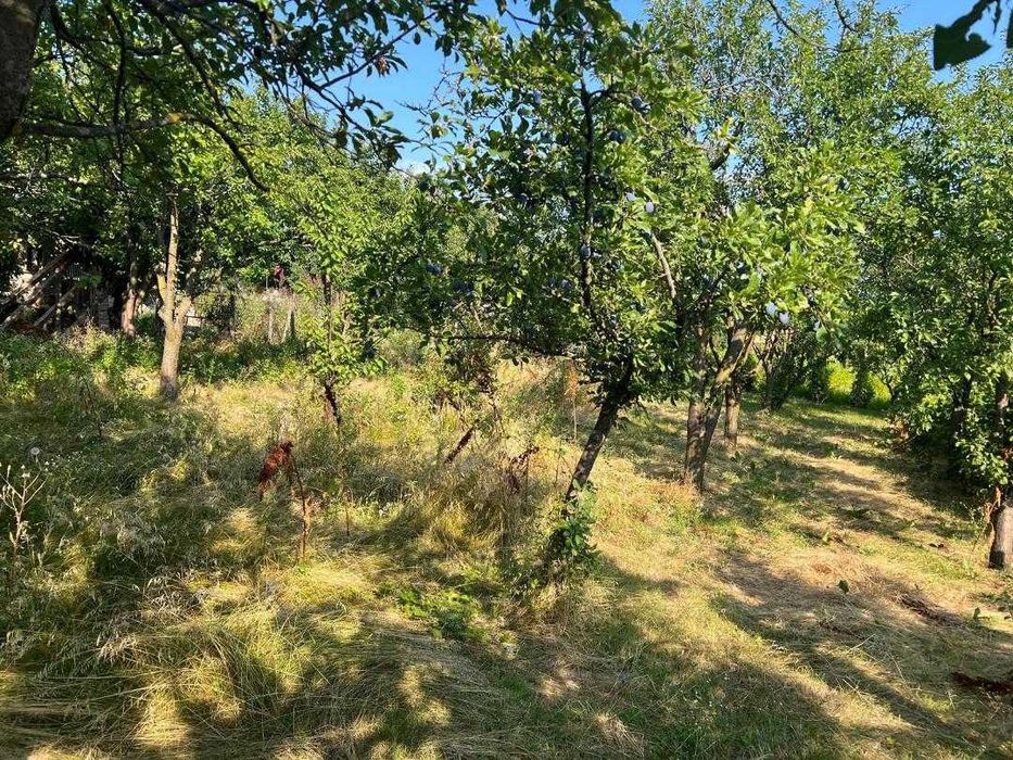 Casa de vanzare 4300 mp teren, sat Beciu, jud. Vrancea