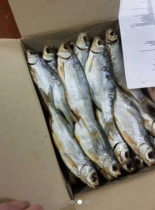 жирная, вяленная вобла