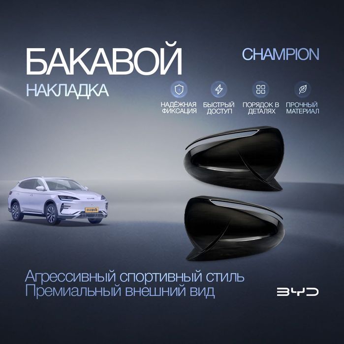 Боковые накладки на зеркала для BYD Champion