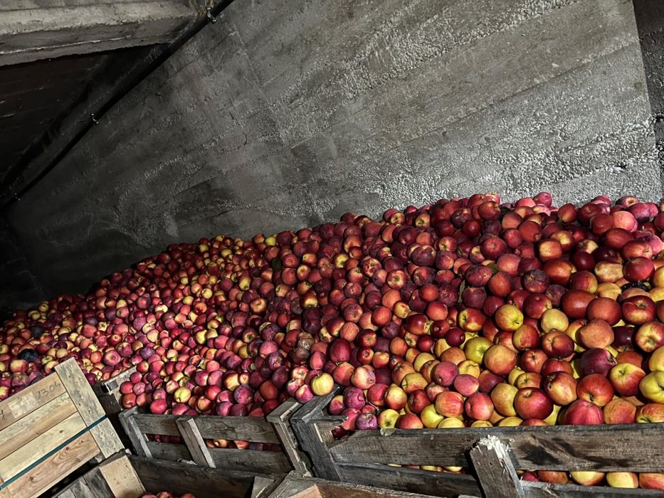 Vand mere diferite soiuri