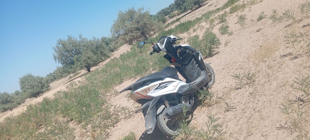 Обмен мопед м10 в либо продажа