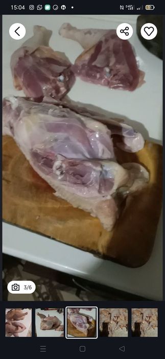 куры домашние 2500 за кг