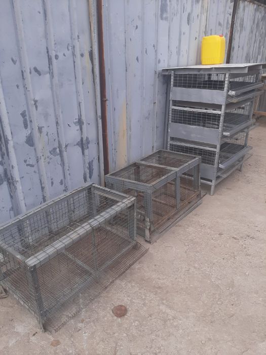 Брудер для цыплят