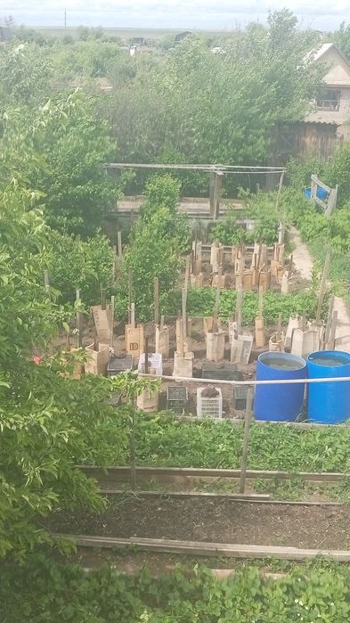 Продам дачу на Темерязева