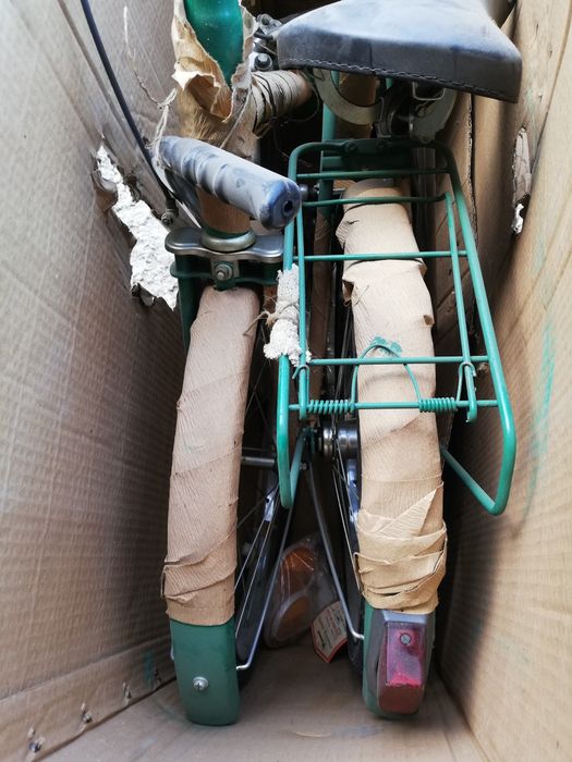 Pegas Practic de colectie