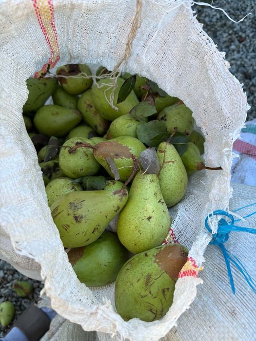 Pere de vânzare!