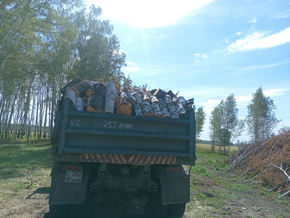Продам дрова колотые ишвырок доставка имеется