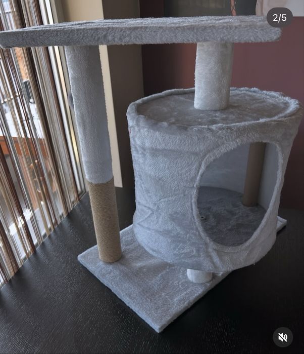 Котешка катерушка