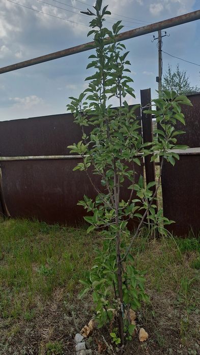 Продам участок 16 соток