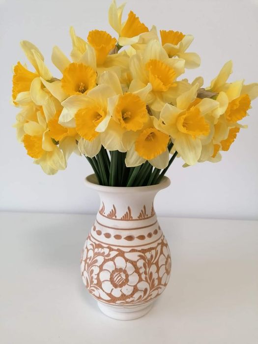 Meditatii Limba Română