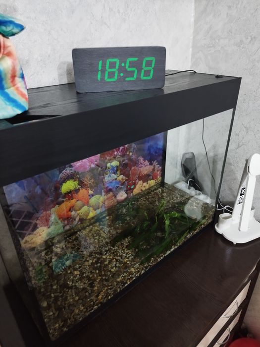 Продам Аквариум.