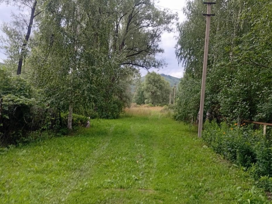 Дача с пасекой (за Тарханкой)