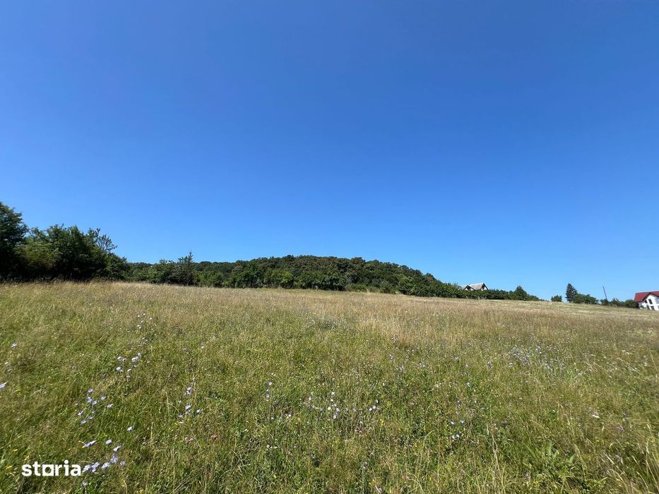 Teren intravilan Valea Castailor zona Rombat