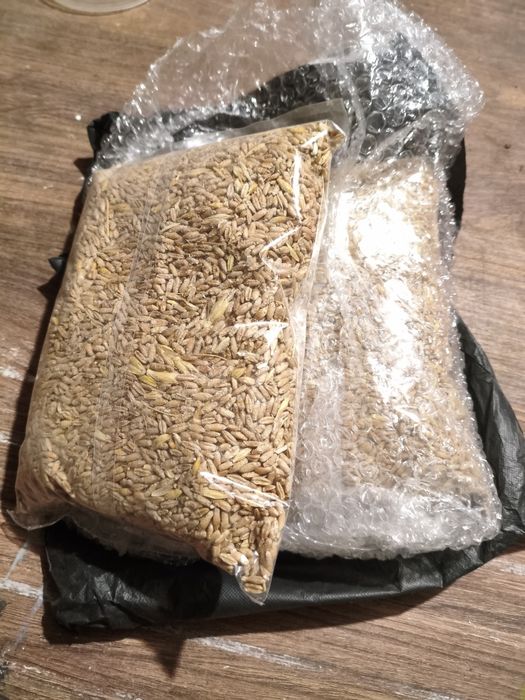 Пшеница для всех видов