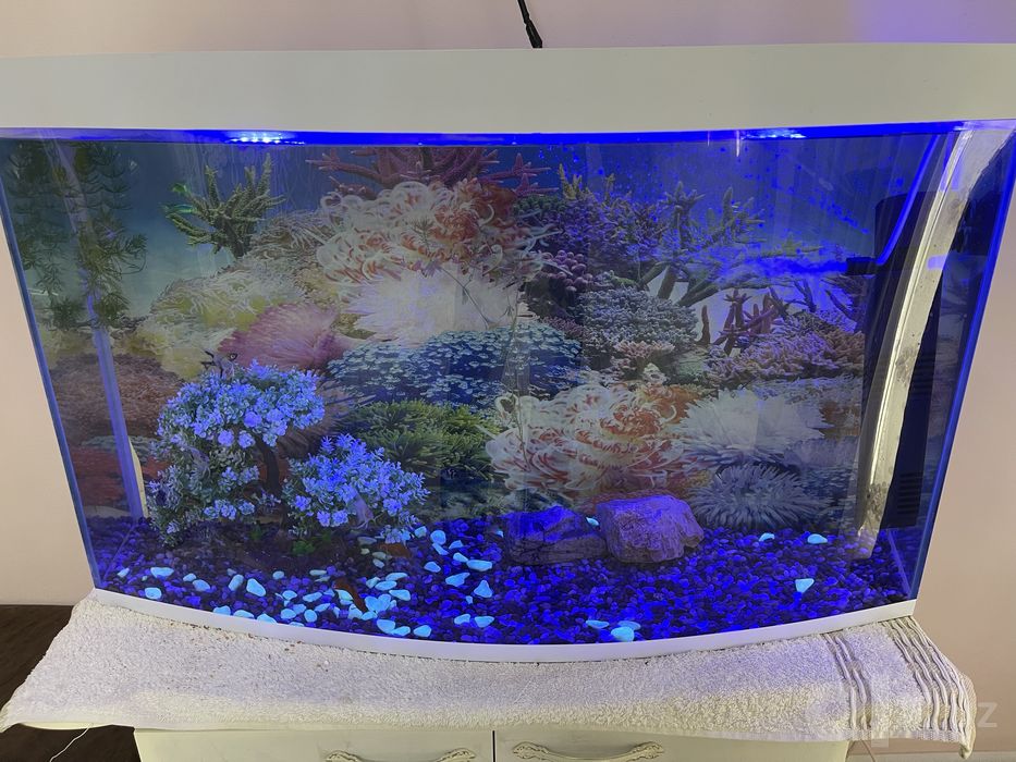 Akvarium sotiladi !!!
