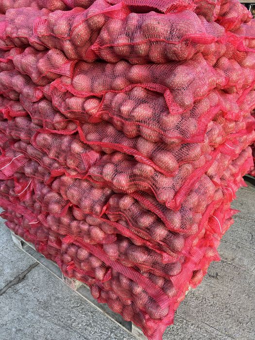 Cartof rosu de consum