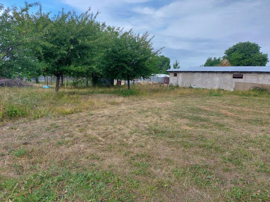 Casa si teren de vanzare Targu Neamt