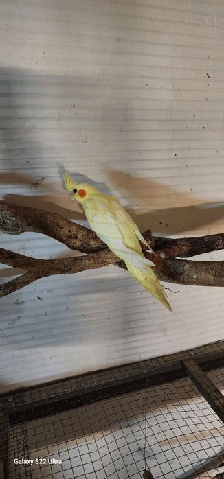 3 ойлик. 110 000