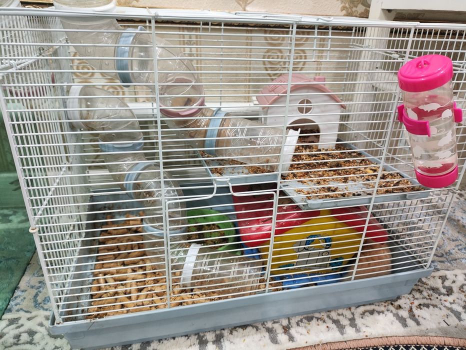 Продам хомяков вместе с клеткой