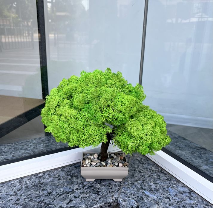 Боснай със скандинавски мъх