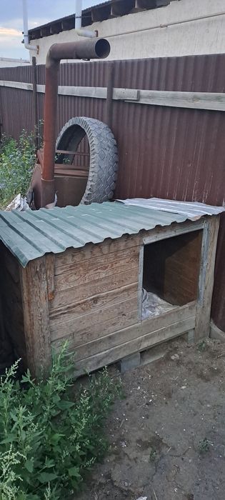 Будка сатылады Алабайға