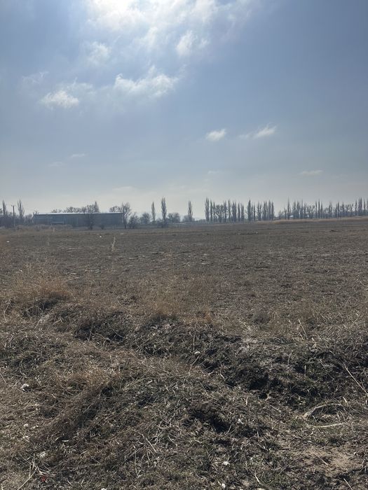 Үлгіліде 8 соток участоктар сатылады