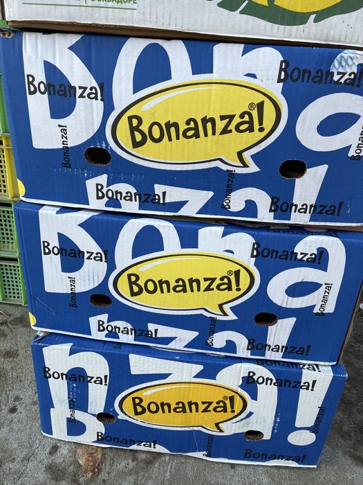 Banan karopkalar bu xolati yaxshi