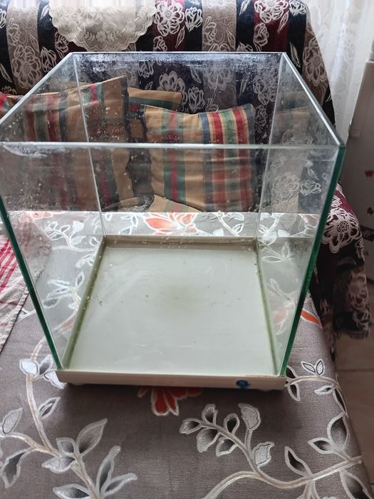 Acvariu de vanzare preț 100 lei