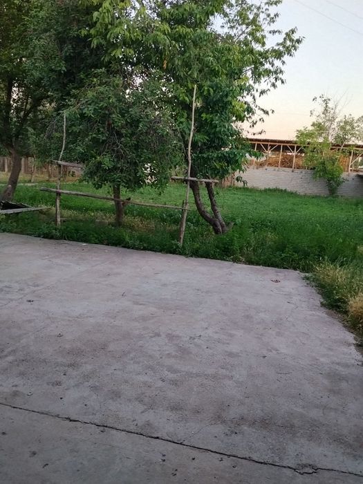 Ijarachi qoyamz 3xonali uy