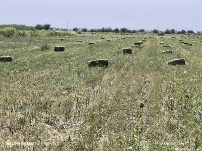Беда прес 2 чи урим 28500, люцерна, пресс беда