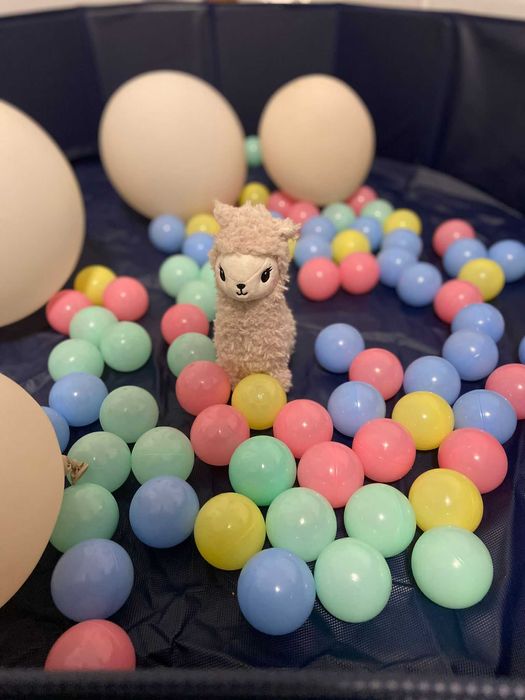 Îngrijire copii la domiciliu – alternativă la creșă | Grup mic