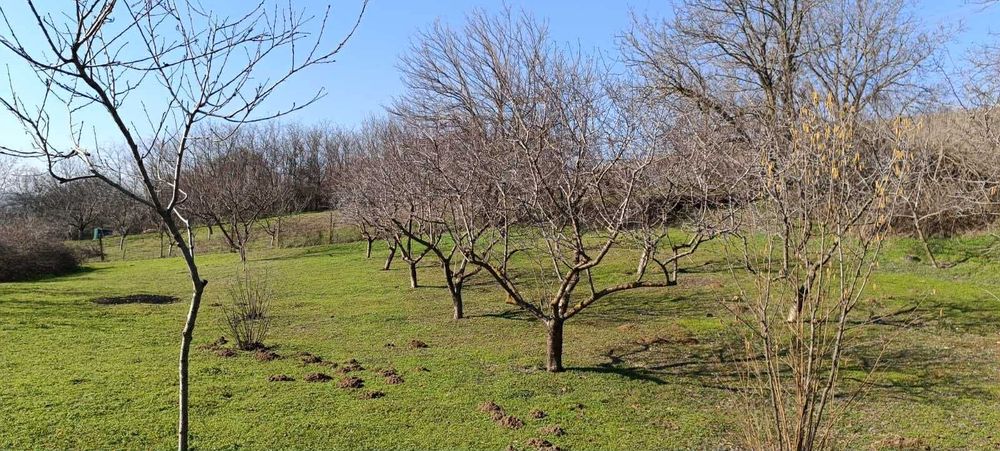 Парцел - с.Калипетрово