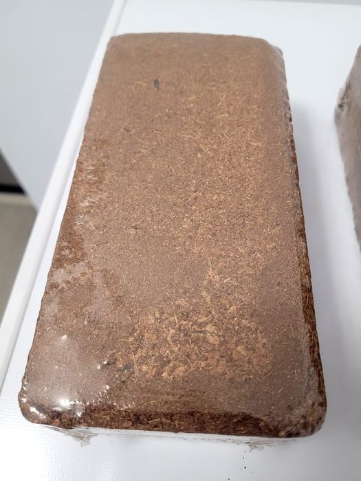 Substrat pentru Hoya