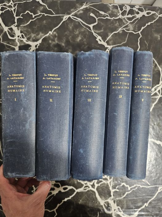 Carti de anatomie umana