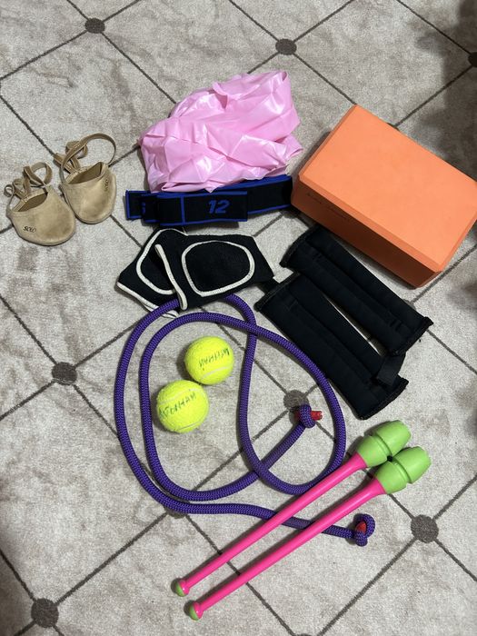 Гимнастика заттары