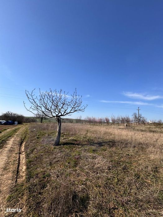 Teren intravilan panoramic langa Oradea – vilă premium / infinity pool