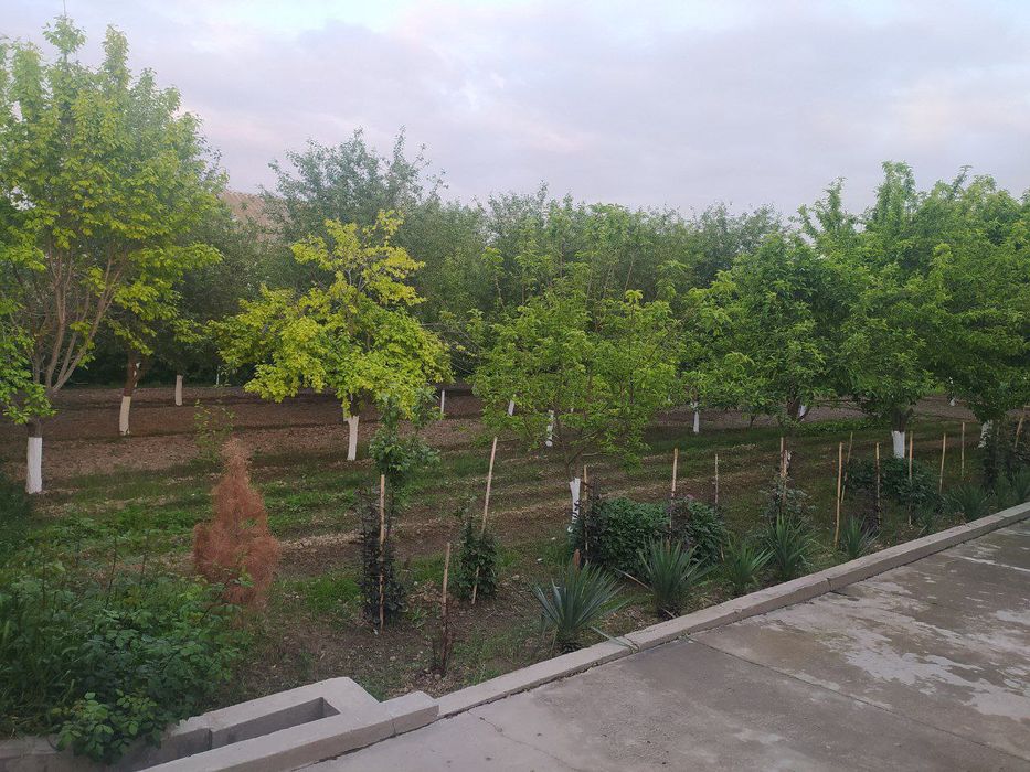 Sirdaryo viloyati Sayxunobod tumani 35 SOTIX XOVLI UY SOTILADI