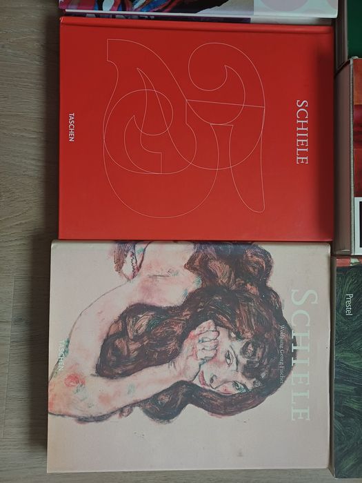 Cărți de artă Vasarely , Dali , Egon Schiele , Otto Dix