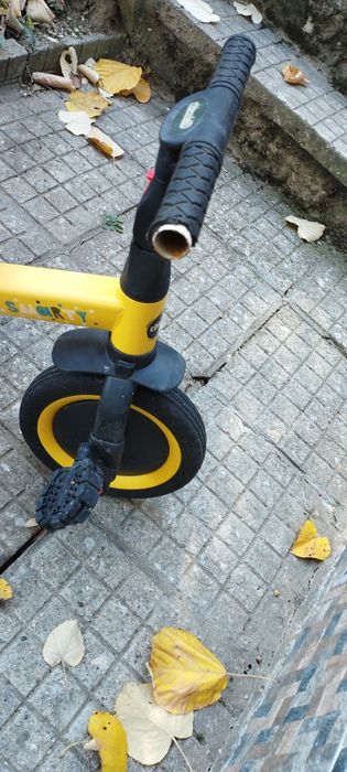 Триколка Chipolino