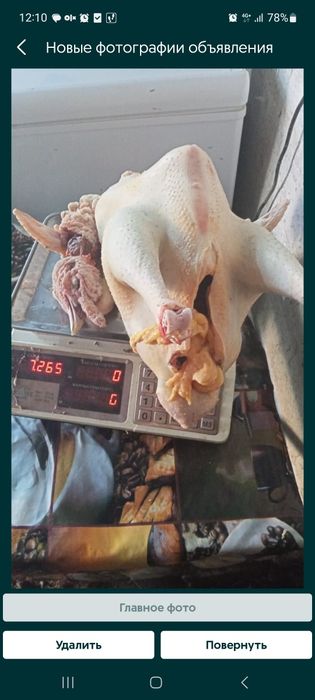 Мясо домашнего индюка