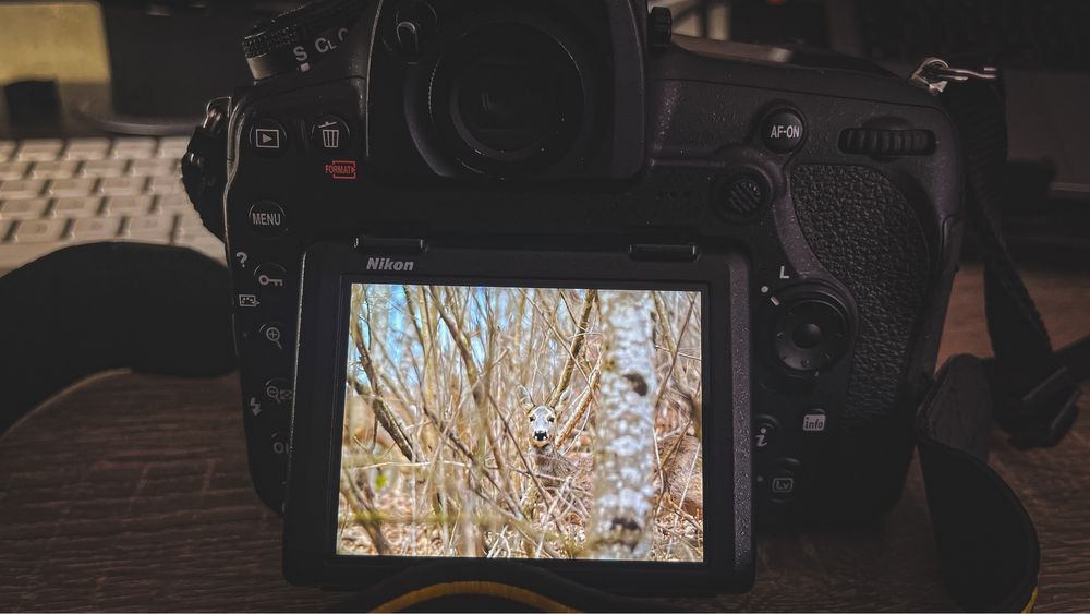 Nikon D850 & Nikkor 16-35mm f / 4G ED VR