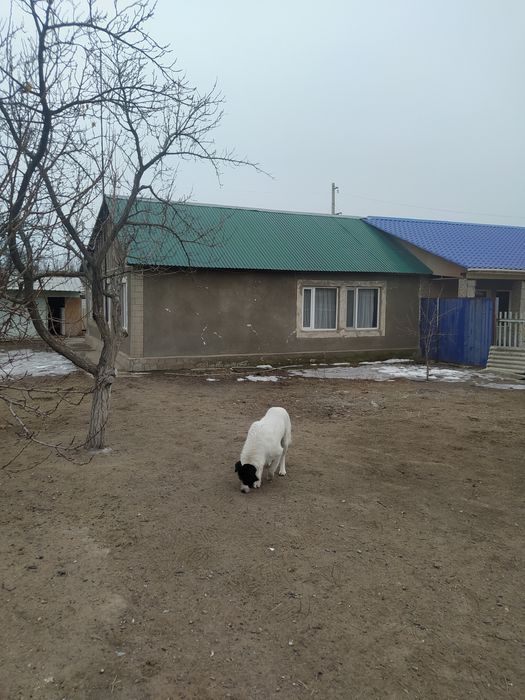 Продам ДОМ в 19 мкр.