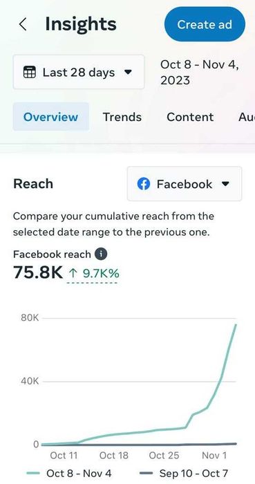 Servicii de marketing digital