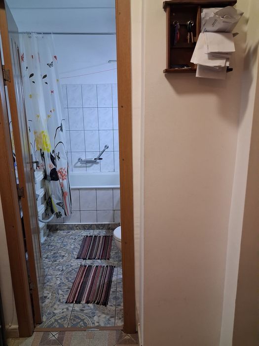 Vând apartament cu o cameră, Calea romanului( lângă OMV)