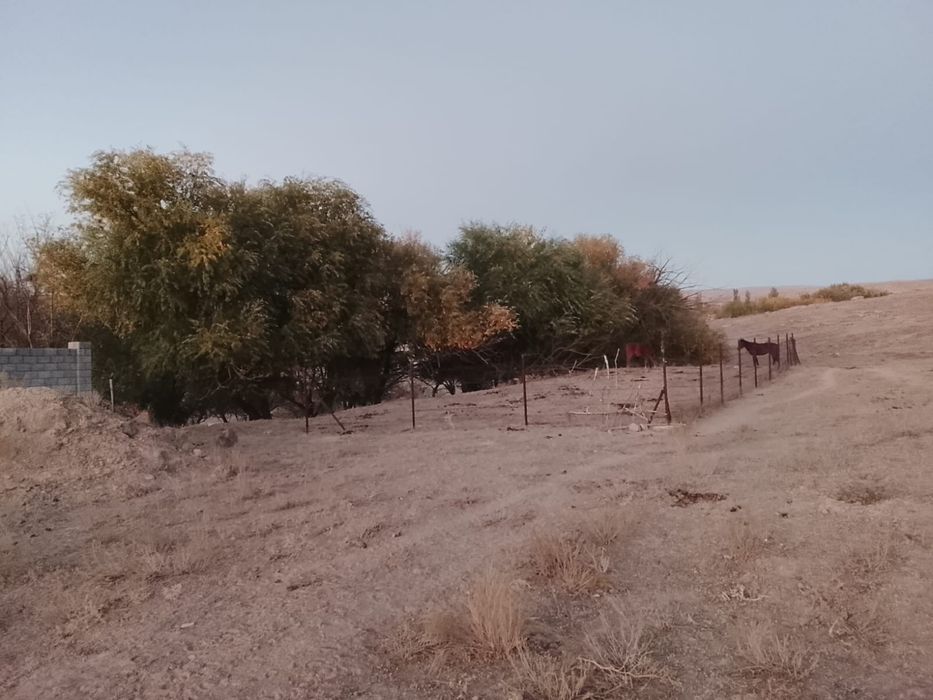 Земельный участок